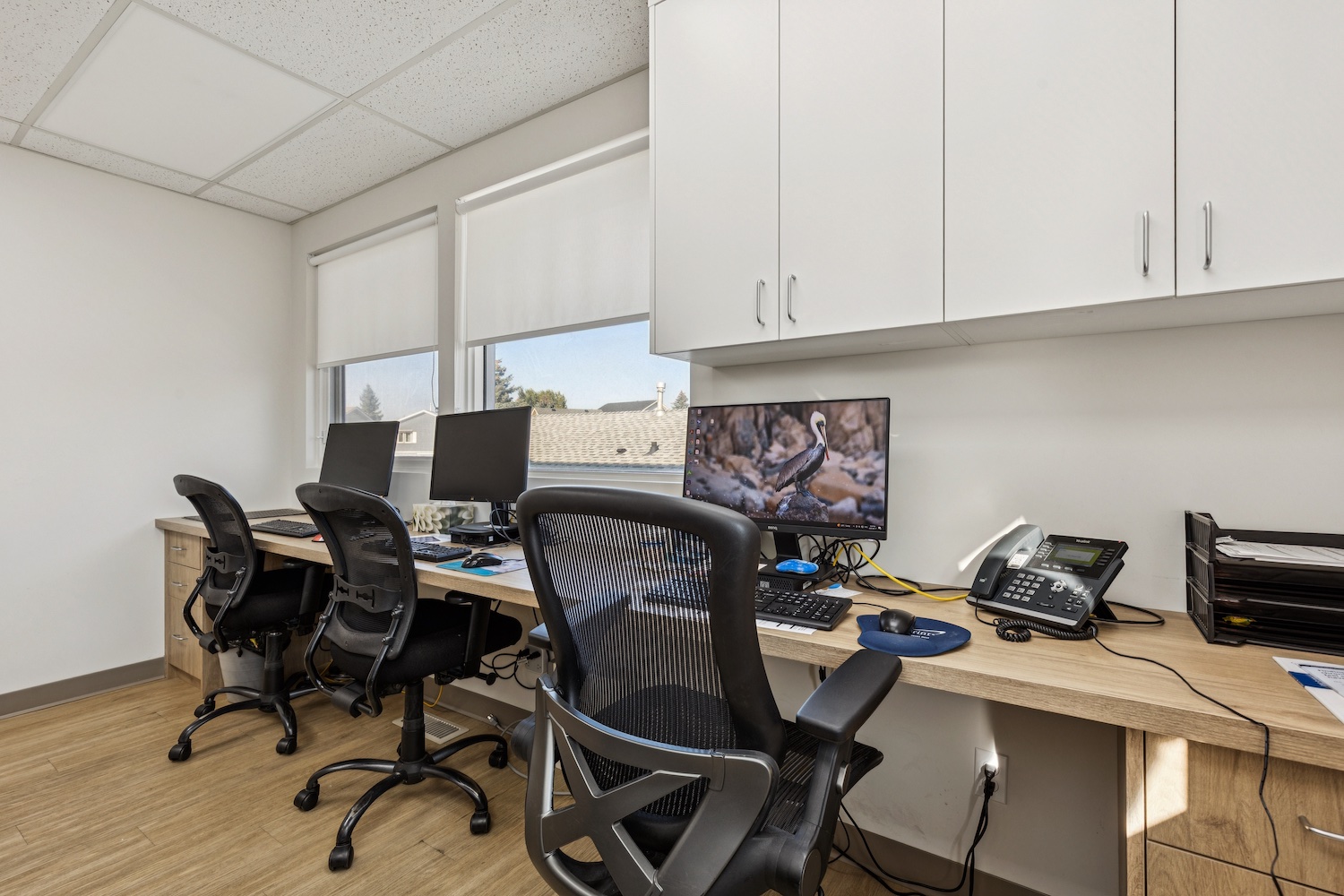 Calgary corporate office construction